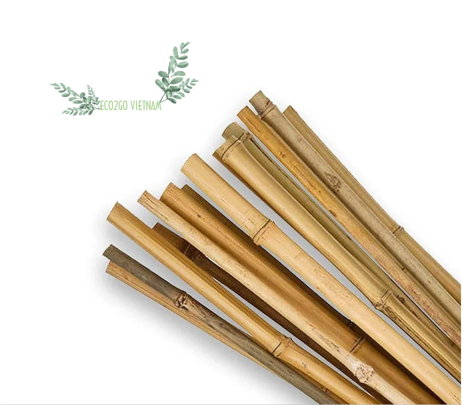 Good Price And High Quality Bamboo Stakes Canes/ Bamboo Stakes Made In Vietnam By Eco2go Vietnam