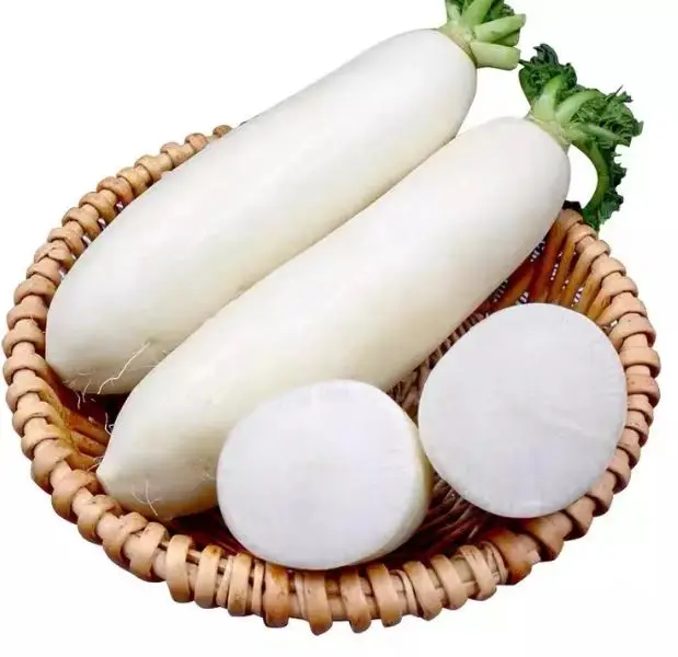 Top Grade Fresh White Radish / Red Radish Whole Price Directly From Factory for sale at affordable price