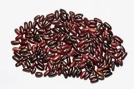 New Organic Purple Dark Red Kidney Beans