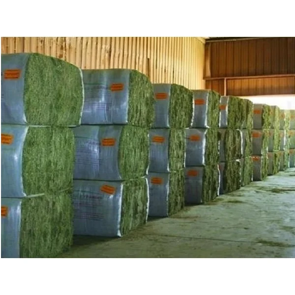Alfafa Hay Feed/ Dehydrated Alfalfa cubes ready for Export