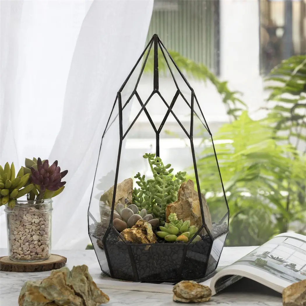 Brass Border Newly Stocked Glass Terrarium For Exclusive Price In Black Colour For Wedding Table Decor & Home Decoration