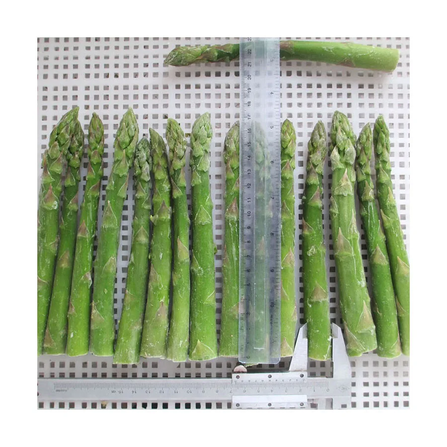 High Quality Fresh Green Asparagus 100% Natural Fresh Vegetables Asparagus Wholesale Bulk Green Asparagus Price