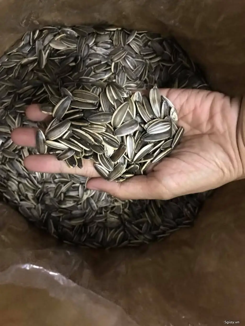 Ready to Ship Good Quality Hot Sale Sunflower Seeds Made In Viet Nam