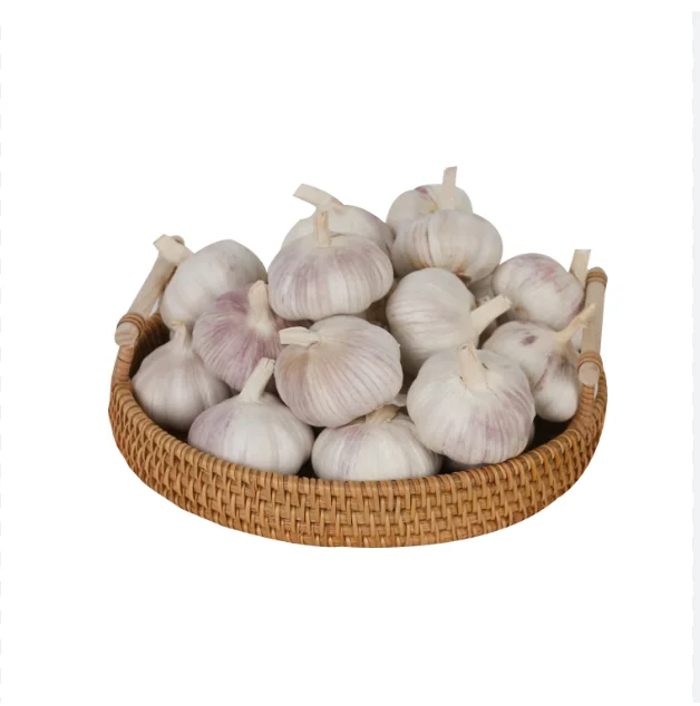 Wholesale Fresh Garlic Supplier with Garlic Market Price for Sales 5.5cm 250g/500g Per bag
