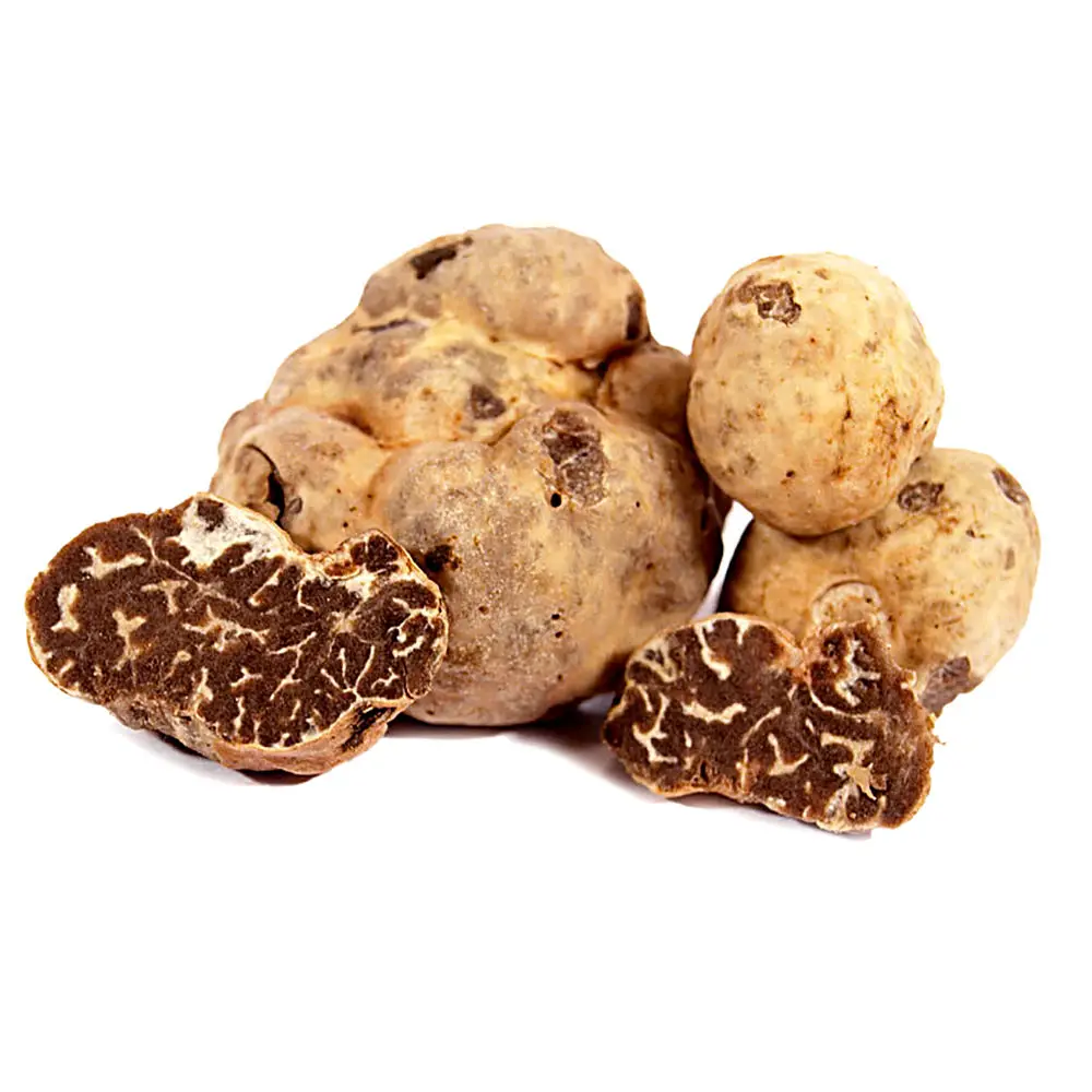 Top Grade ITALIAN WHITE TRUFFLES Style Piece TRUFFLE Shelf Lucana Origin Type Life Shape QUALITY Wild Product Fresh