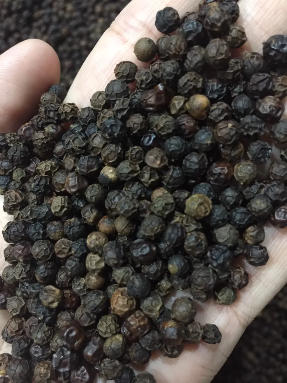 100% Natural Pure Ground BLACK PEPPER with Best Price in Bulk Quantity Vietnam Pepper High Value OEM/ODM Dried Black Pepper