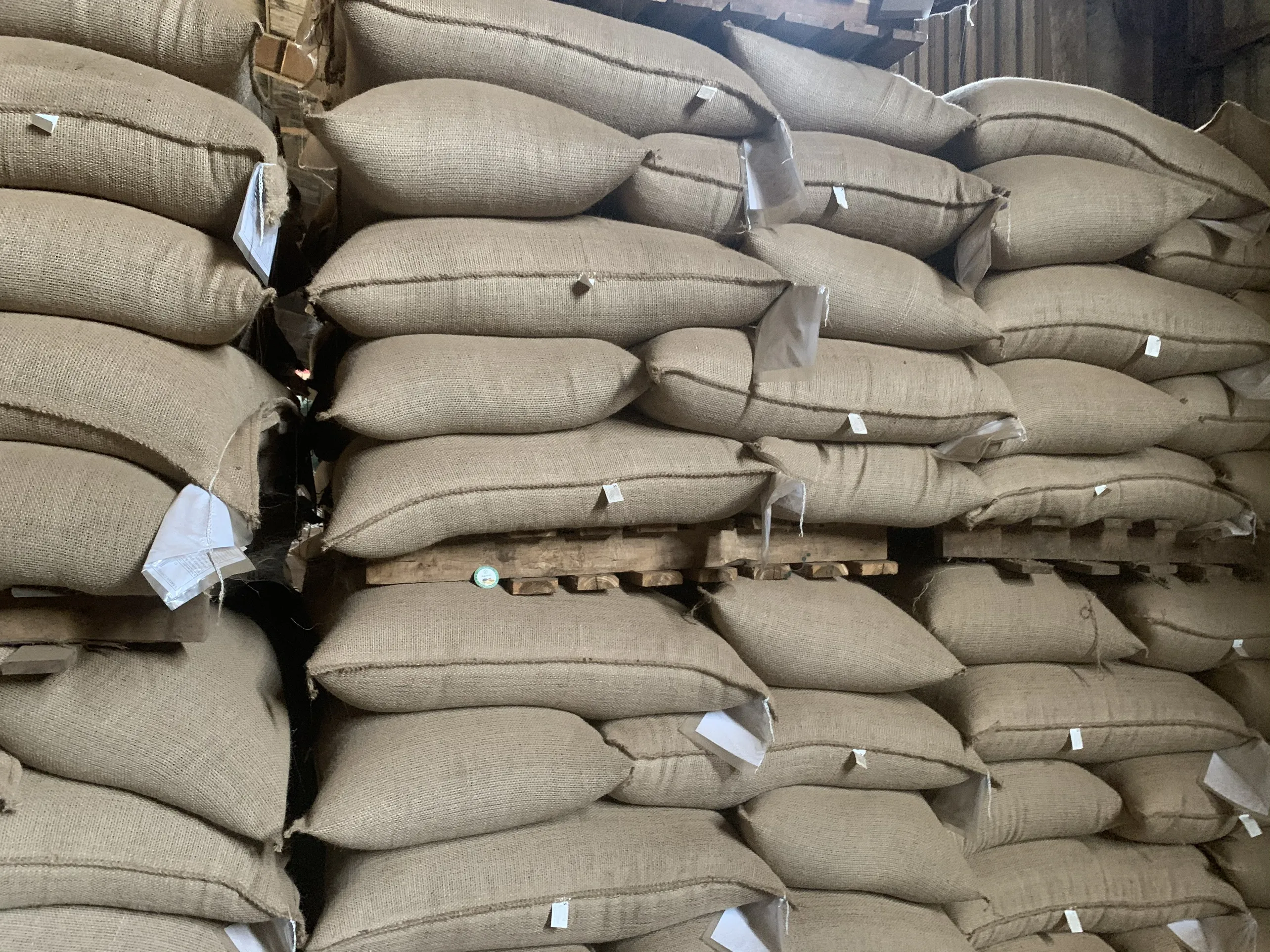 Высококачественные вьетнамские кофейные Зеленые зерна Robusta + 84 359313086 мс Анна
