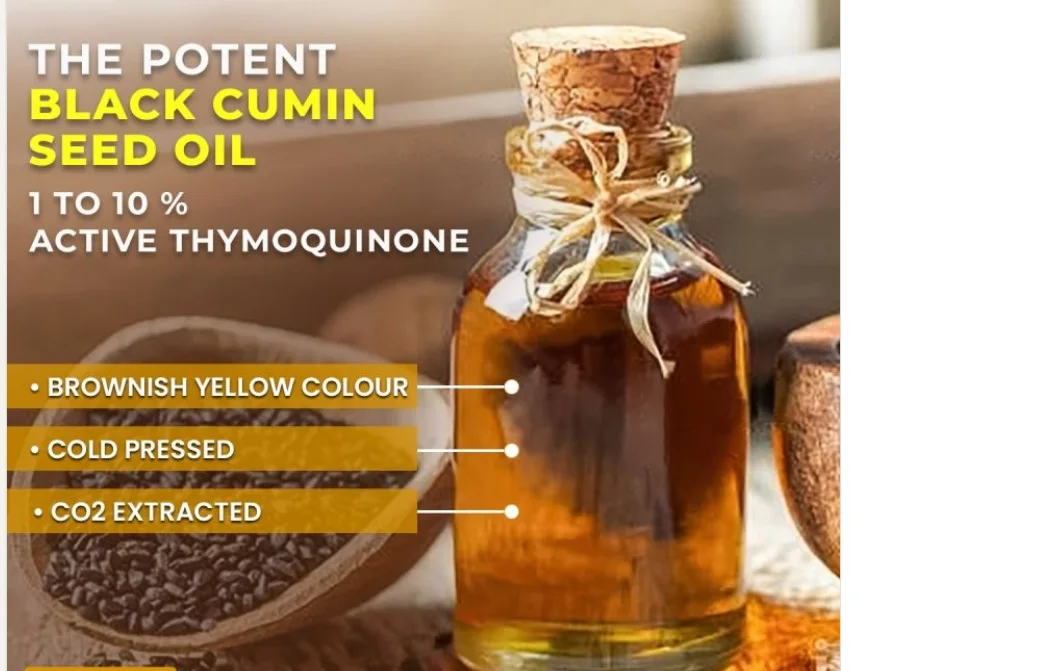 Export Quality Minimum 10% Thymoquinone Kalonji or Black Cumin Seed Oil Essential Oil at Best Price from India