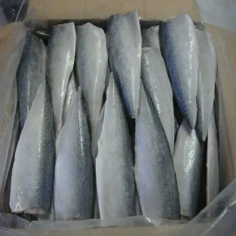 Quality Fresh Frozen Mackerel fish 400-600g For Sale rounded and torpedo-shaped, with a slender, keeled tail base