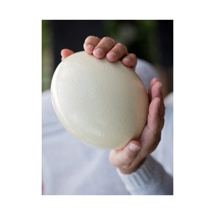 Ostrich Fertilized Eggs For Sale