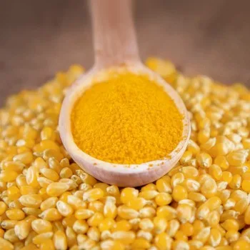 Corn gluten meal 60% protein/wheat bran/rice bran for chicken feed