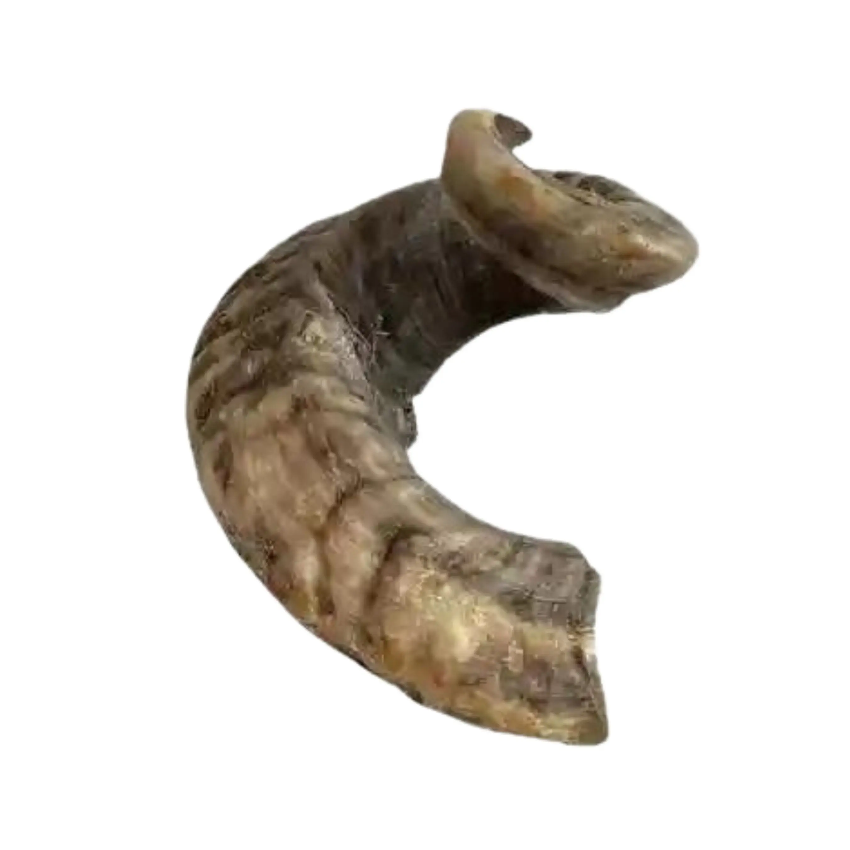 Indian Ram Horn for Pet Chew Toys Elegant Goat Horn Product with Free Sample Wholesale Dog Treats Prices