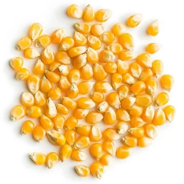 Bulk Dried Kernel Corn 14-15% Moisture Level