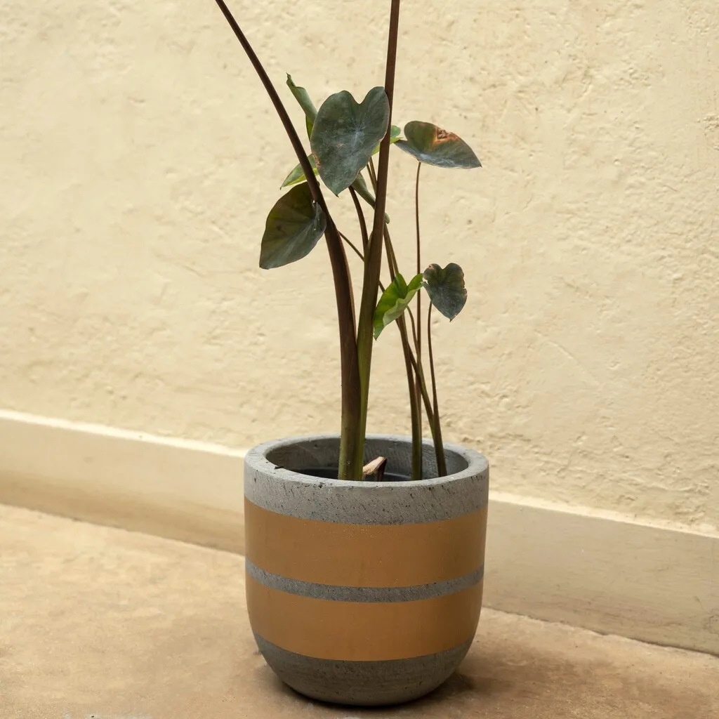 Customize various sizes large planter big own garden vasi fioriu for outdoor set of 4 for plant garden