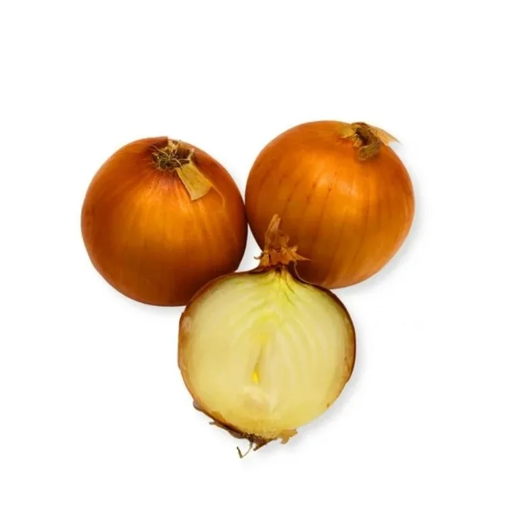 High on Demand Fresh Organic Onion for Food Ingredients Available at Wholesale Price