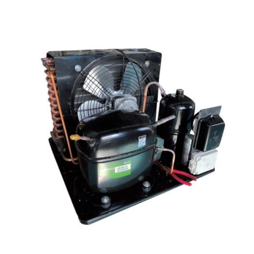 Cold Room Cold Storage High Performance Secop Compressor Air Cooled Condensing Unit
