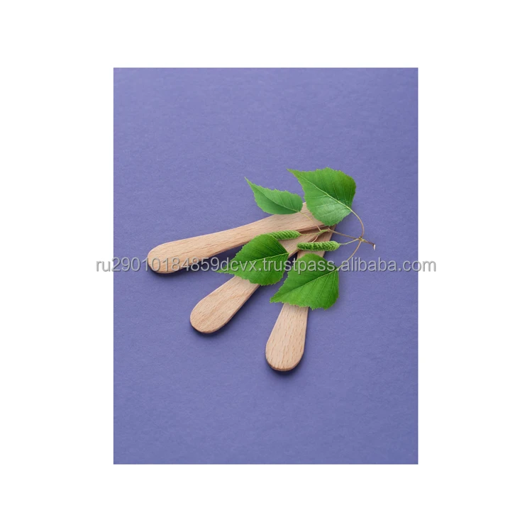 Organic wooden ice cream sticks safe for humans and the environment wholesale,scribble creativity