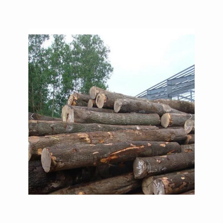 Top Grade Square Logs Black Walnut Maple Luan Ayous Wood Quality Sawn Plywood Excellent Timber Ash Type Competitive Prices