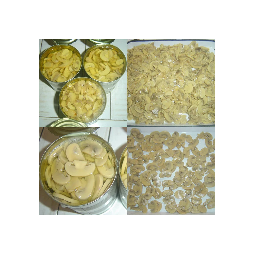 Quality Whole Canned Mushrooms for sale