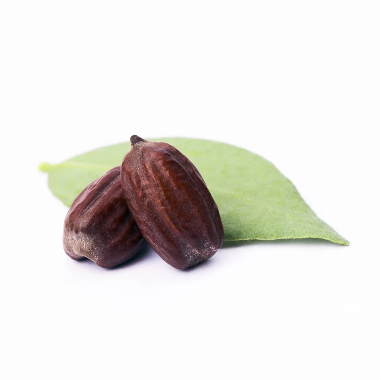 Wholesale Bulk Top 5 Hot Sale Carrier Seeds Rosehip Sweet Almond Jojoba Olive Camellia Seeds Oil New