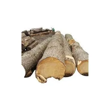 Beech Wood Logs / Sawn Spruce Wood Logs Pine Wood timber for sale Best Price Good Quality pine For Sell