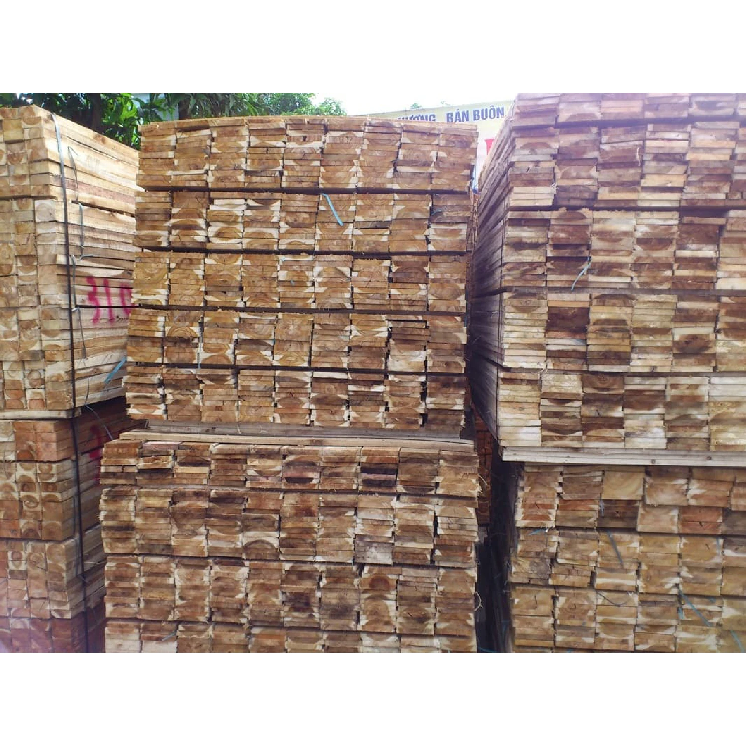 100% Natural Acacia Wood Logs/ Sawn Timber High Quality With Best Price From VietNam