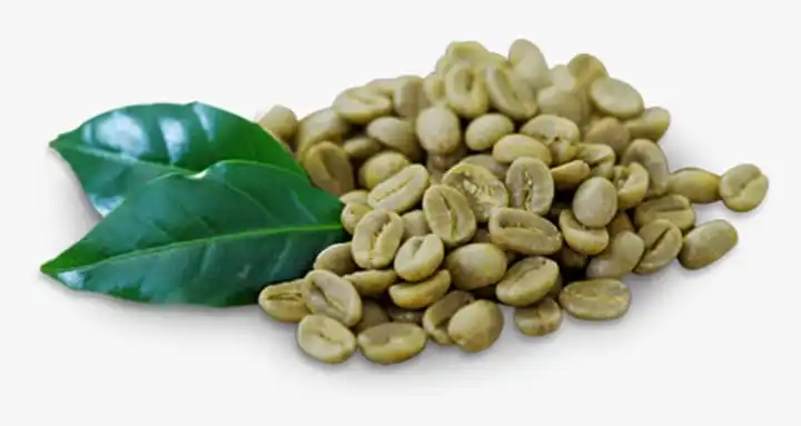 Dried Raw Cacao Fermented Cocoa Beans Cocoa Beans Ariba Cacao beans for sale