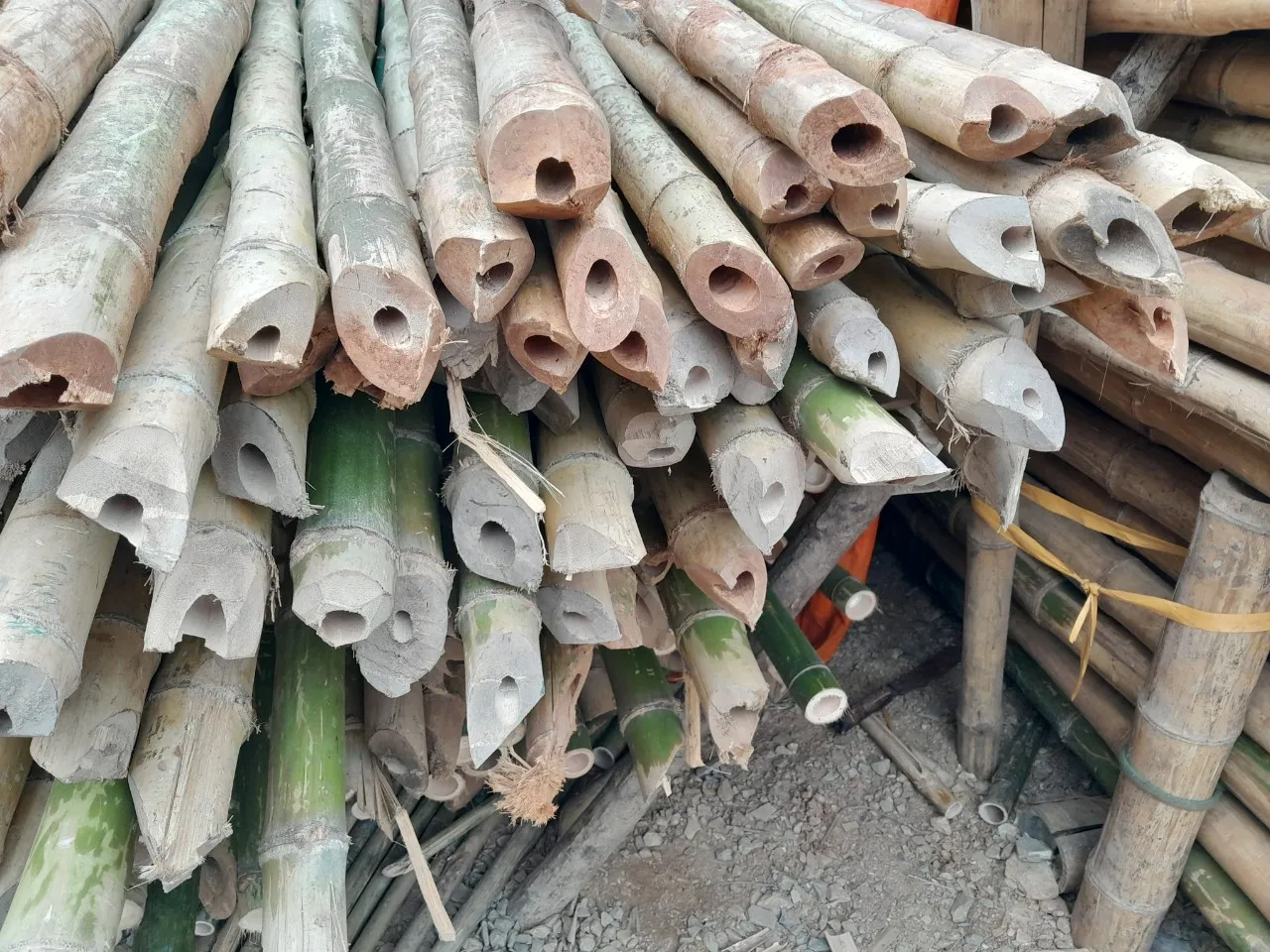 Premium Quality Bamboo Poles From Vietnam for Export - Bamboo Products Hot Selling 2024 With Cheap Price