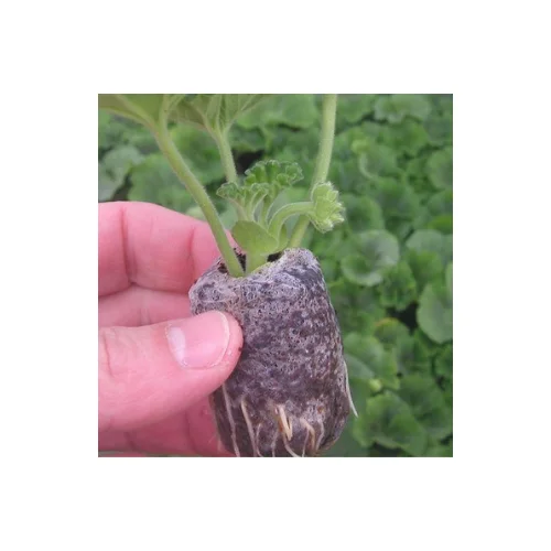 Competitive Price With Viet Nam Coco Peat Planting Soil For Seeding Coir Peat Pellet With High Quality