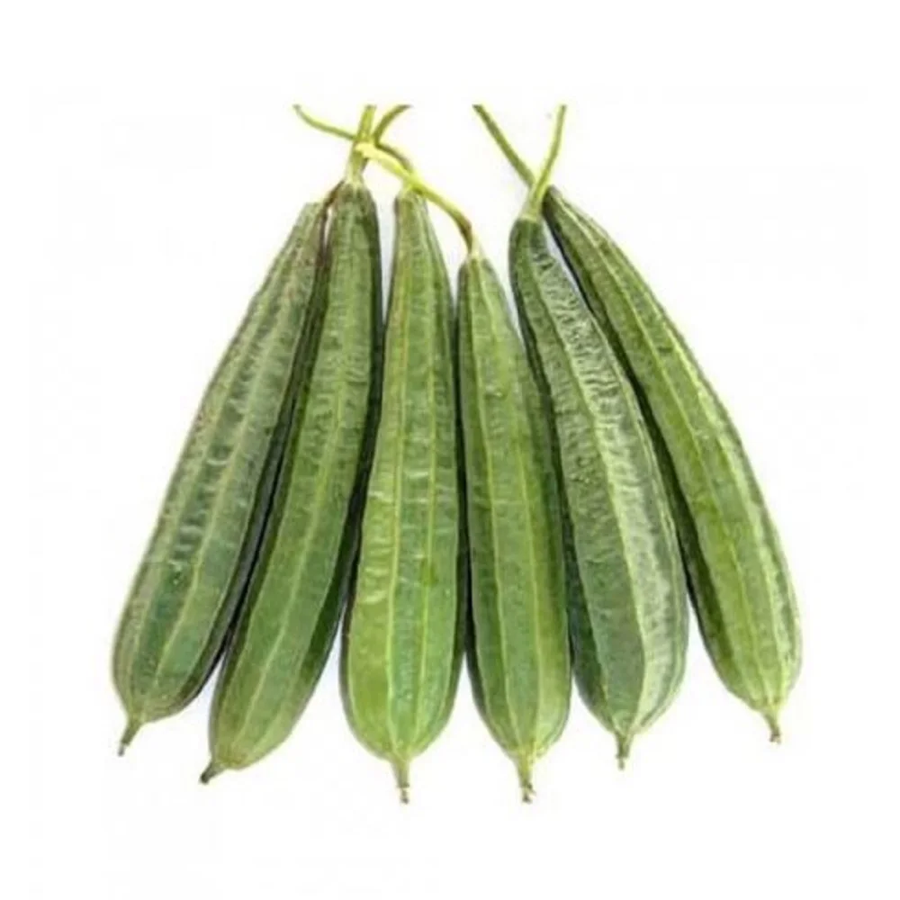 Fresh Good Packaging Organic Agriculture Color Health Natural Origin Vegetable Dhundul Sponge gourd Wholesale Reasonable Price