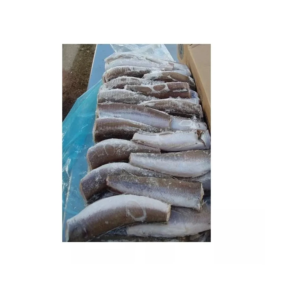 Fresh Frozen Hake Whole Fish Frozen Hake Fish Fillet Hake