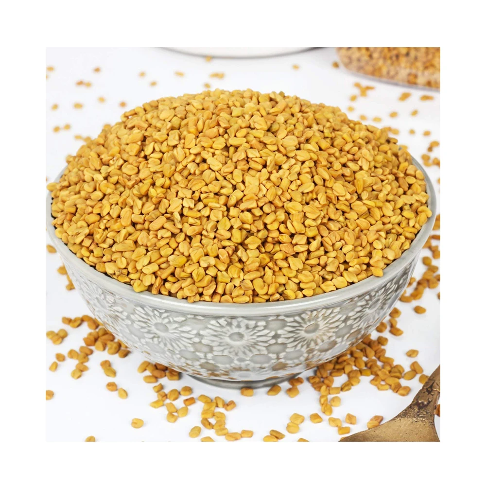 Great For Appetite Control Best Quality Fenugreek Seeds Buy Other Whole Spices At Factory Price