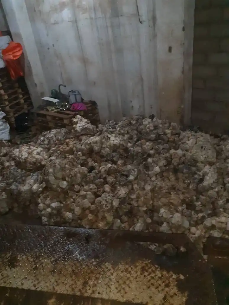 Сырые резиновые чашки
