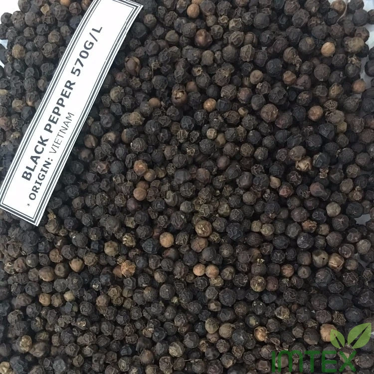 HOT SALE VIET NAM BLACK PEPPER 570 G/L PREMIUM QUALITY