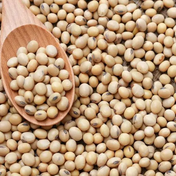 soybin.jpg