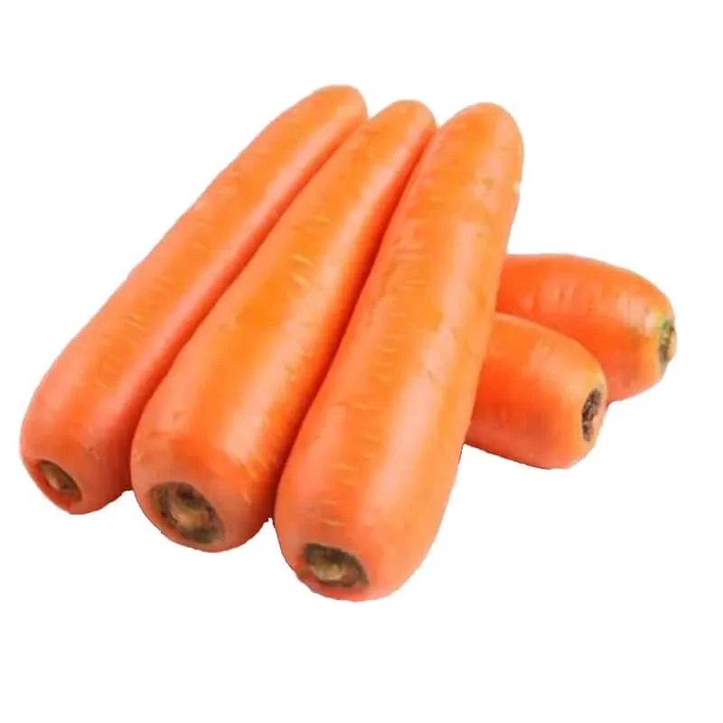Top Selling Natural Carrot With Low Export Price Carrot High Quality  WHATSAP +255750843535