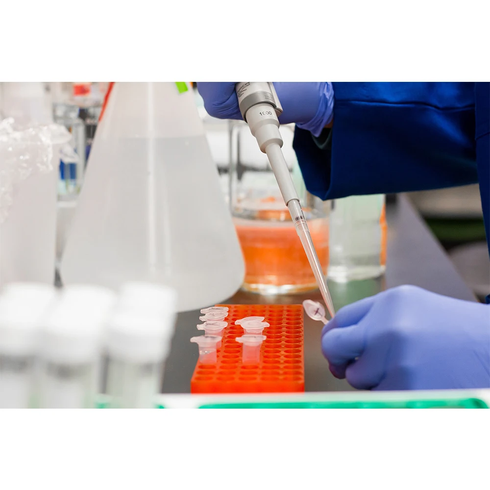 High Quality Denatured Ethanol Ethyl Alcohol Made In Vietnam