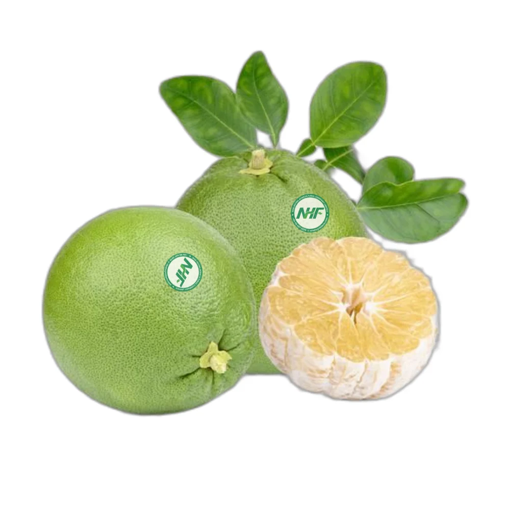 Nam Roi Pomelo, не 100% химикатов, для рынков Азии | Премиум-экспорт во Вьетнаме