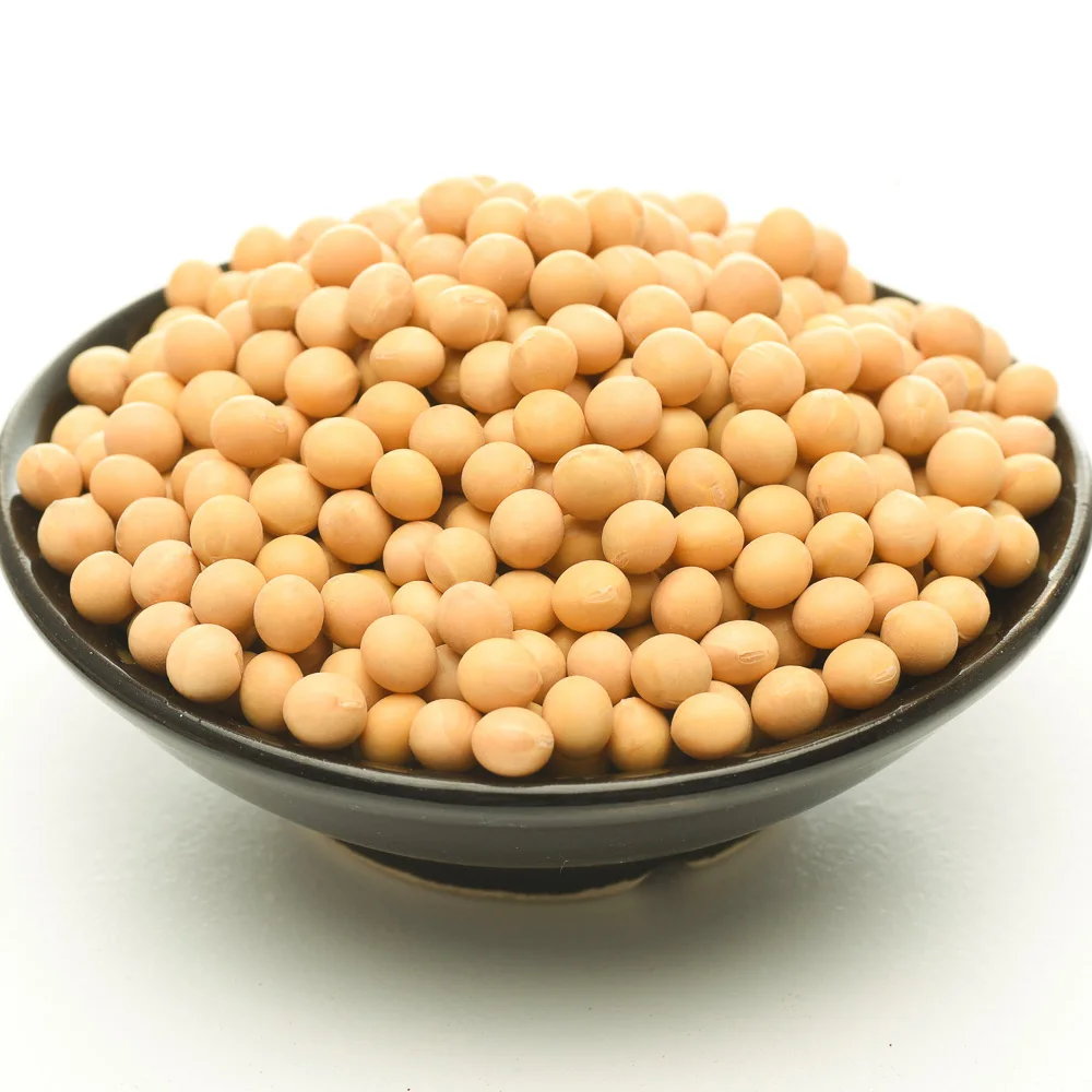 Ukraine factory price non-GMO Yellow Soybean Seeds / Soya Bean /Soy Beans on sale