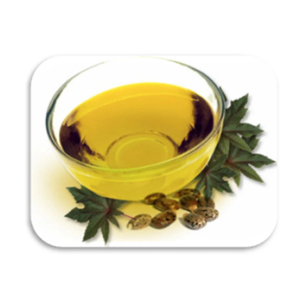 Manufacturer supply wholesale 100% Pure Organic Jamaican Black Castor Oil