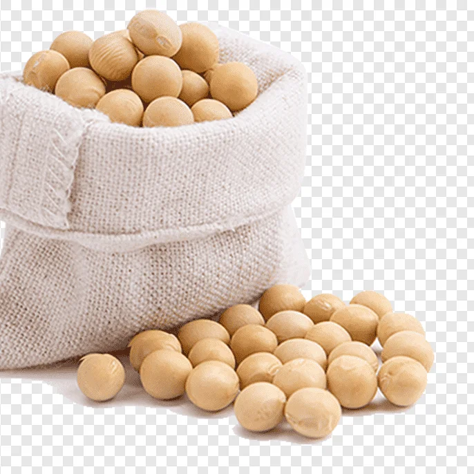 Quality Soybean Seed at Wholesale Price