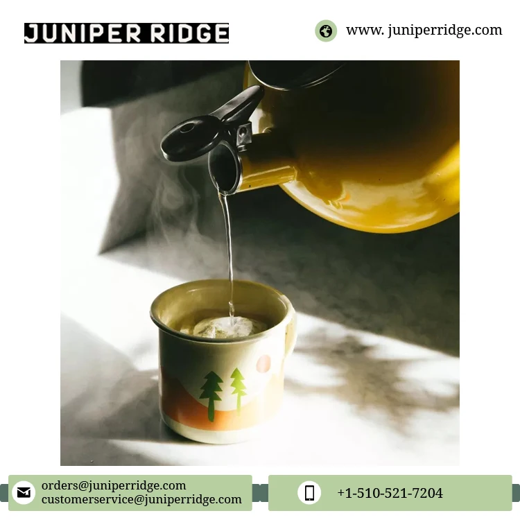 Wholesale Price Health Tea Hot Beverages Herbal Flavor Tea Best Quality Natural Yerba Santa Botanical Tea Bags for Sale