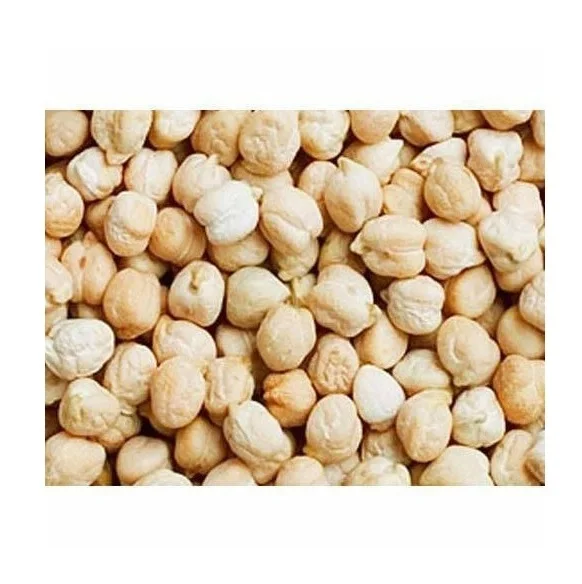 Chickpeas Origin Chinese 9MM Non Gmo Chickpea Wholesale Chickpea Beans