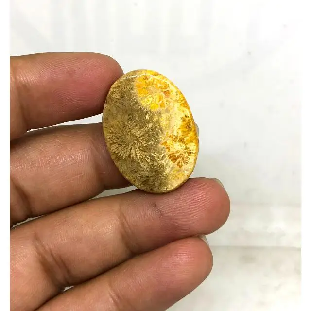 Fossilized Coral Natural cabochon stone crystals chakra healing energy for decoration  for gift handmade hand polish bulk sale