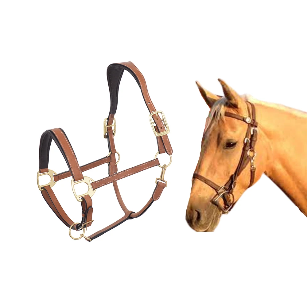 Horse Padded Halter Genuine Leather Fancy Stitched Leather Horse Halter Buy At Lowest Price On Bulk Order