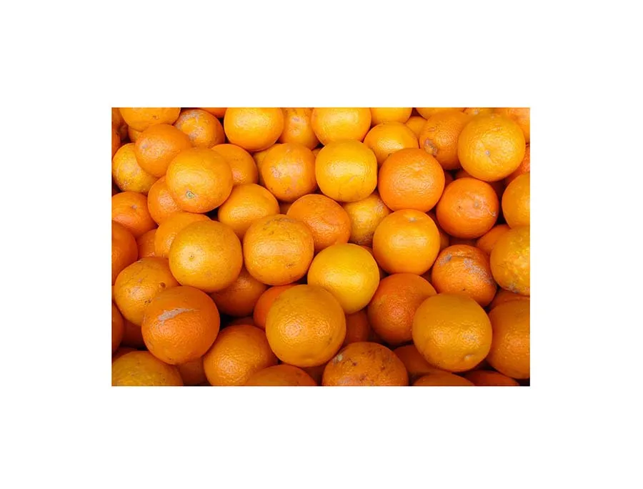 Wholesale Orange Sweet Bulk Mandarin Citrus Oranges Fruits  Pakistani Mandarin Oranges Kinnow Grade a quality Citrus