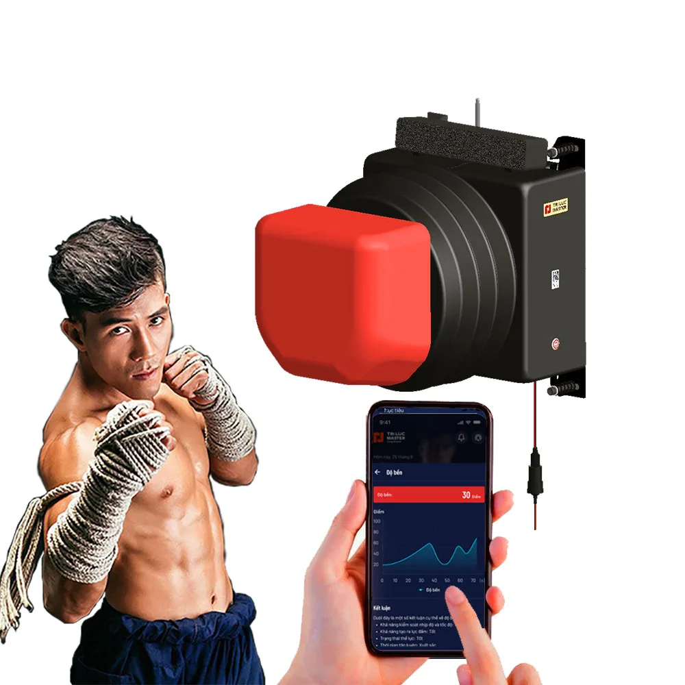 Smart Wall-Mounted Boxing Training Machine with Accurate Punch Measurement, Varied Workouts, Music Integration for All Ages