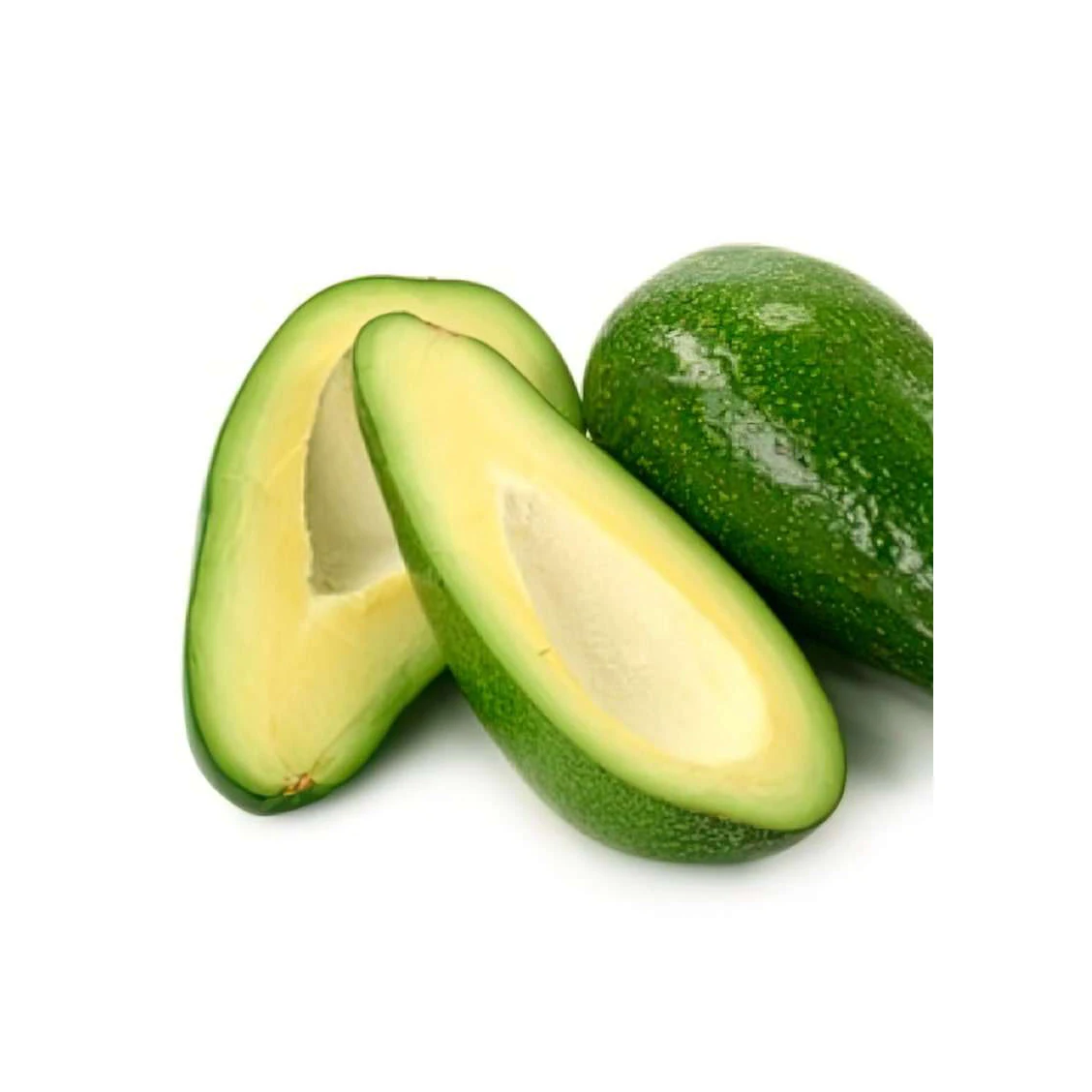 FRESH AVOCADO with HIGH QUALITY and BEST PRICE