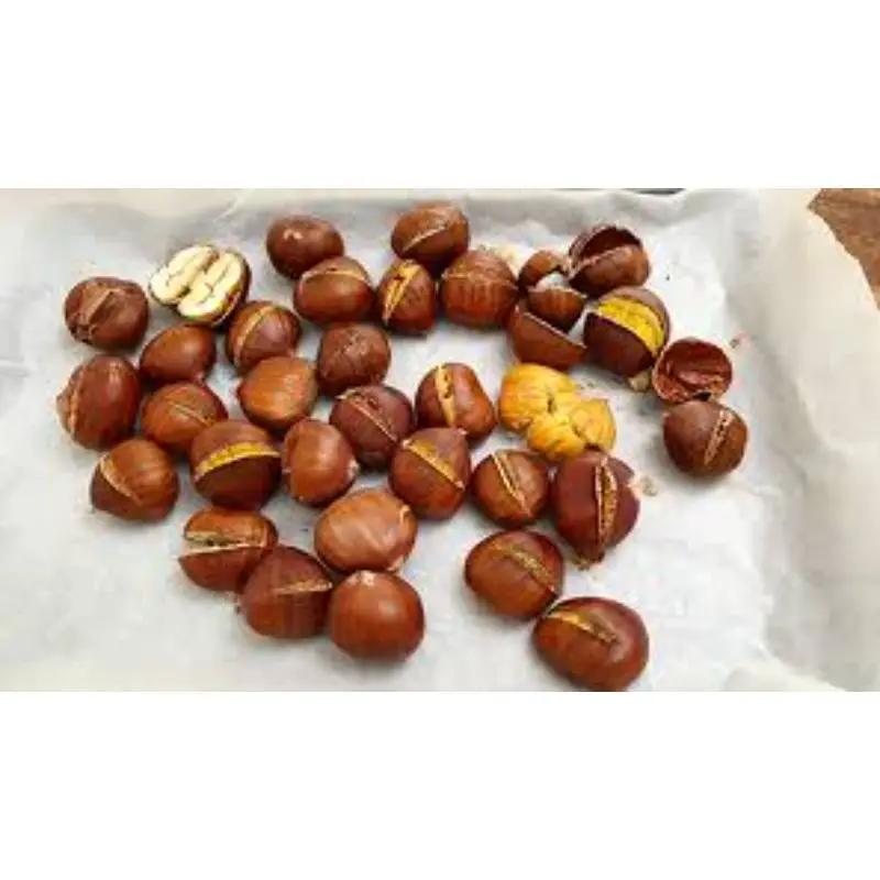 Top Quality Chestnuts For Sale