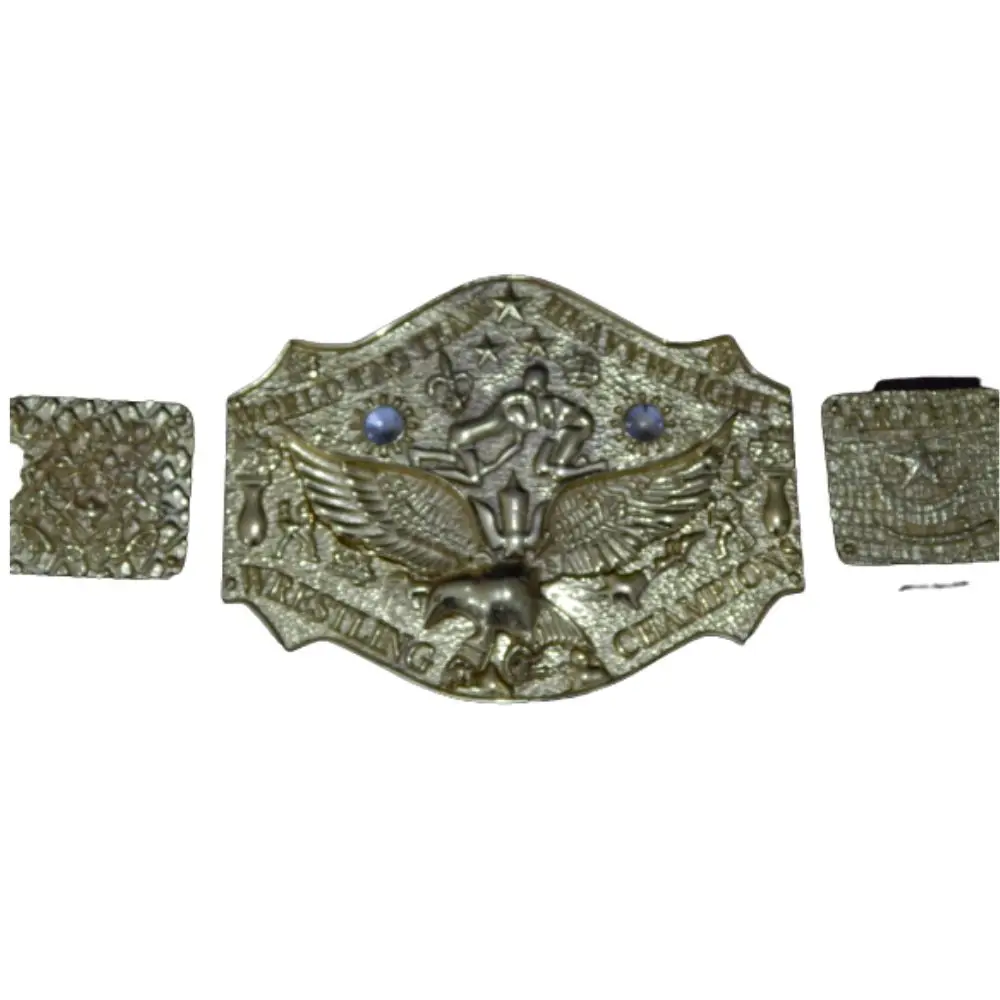 World Tag Team Heavyweight Wrestling Champion  world tag team championship history  wwe world tag team champions belts